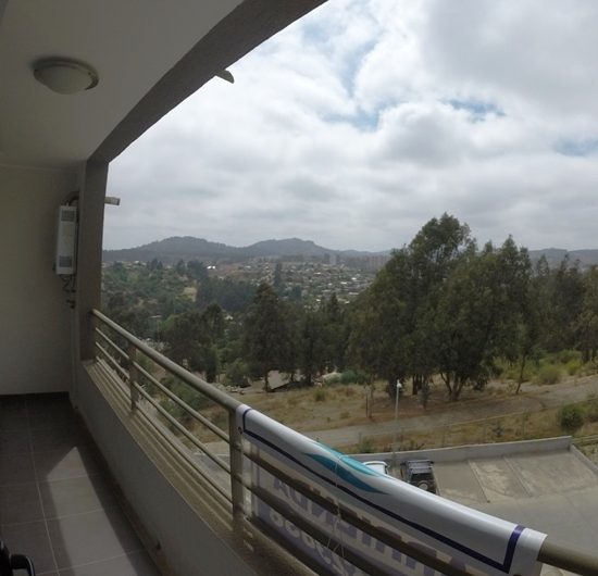 CASTILLA-GOMEZ CARREÑO 2 DORMITORIOS