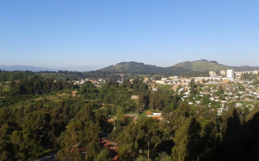 CASTILLA-GOMEZ CARREÑO 2 DORMITORIOS