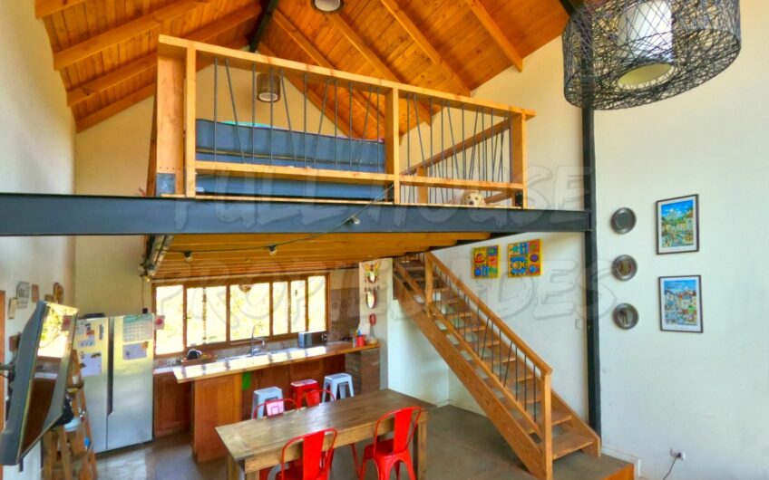 LIMACHE, PARCELA EN LLIU LLIU